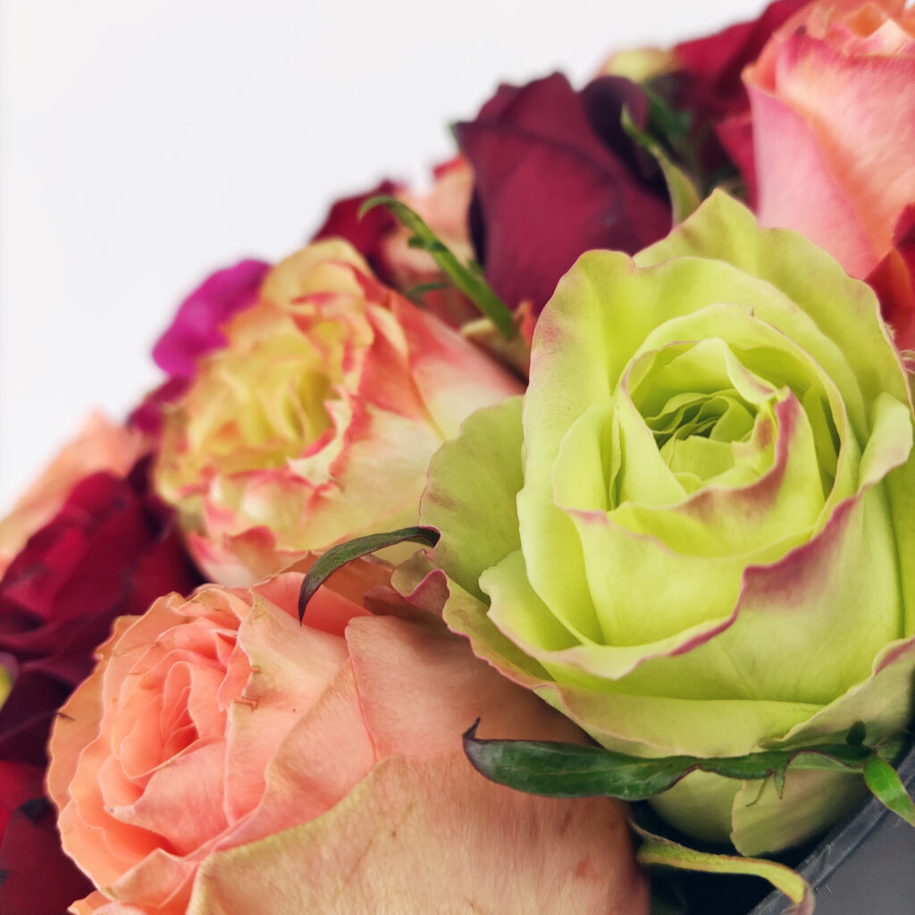 Valentijnsboeket rozen verschillende kleuren - in detail Valentijnsboeket rozen verschillende kleuren - in detail