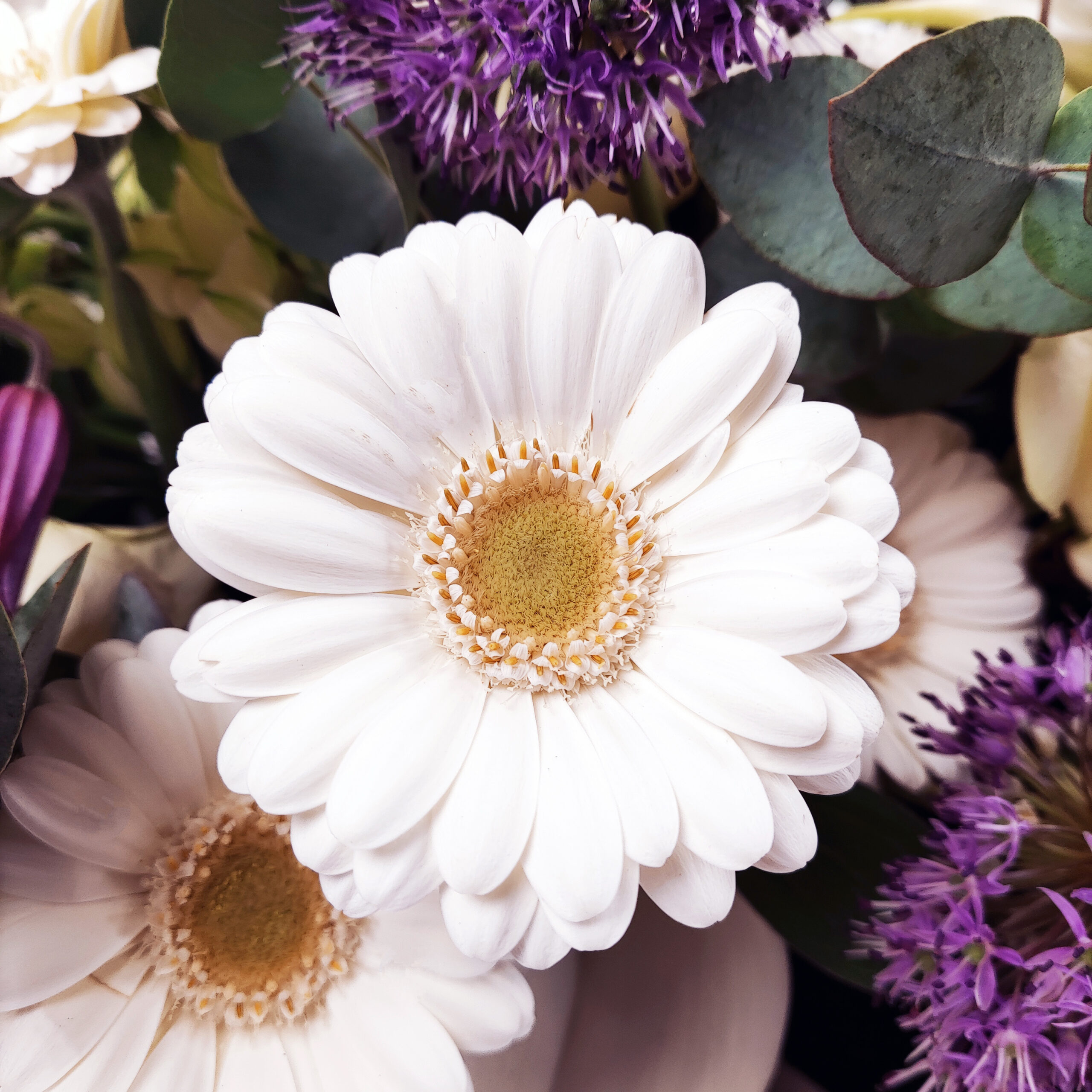 Afscheidsbloemen detail gerbera wit Afscheidsbloemen detail gerbera wit