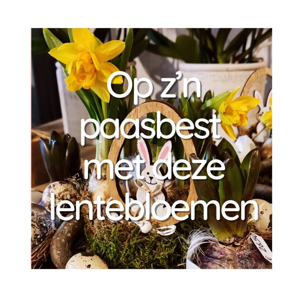 Op z’n paasbest met deze lentebloemen